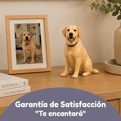 PetPortrait